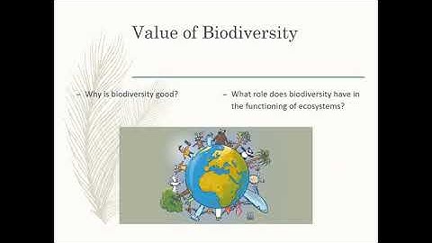 05A   Biodiversity and ecosystem function