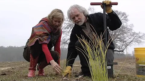 Rolling Stones Chuck Leavell At Home On Twiggs Cou...