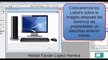 LABELS EN VISUAL BASIC 6.0