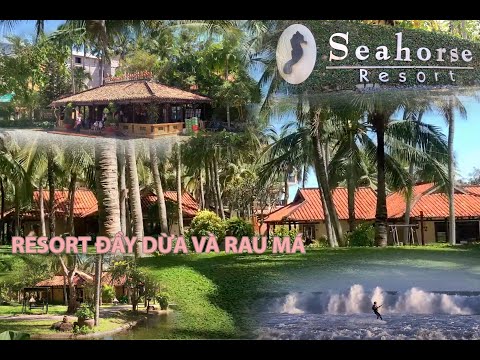 Seahorse Resort & Spa | Resort đầy dừa và rau má | LTH VLOGS