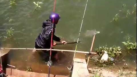 Câu Cá Trôi  Đập Đông hồ - krông năng lên cá khủng  gần 5kg