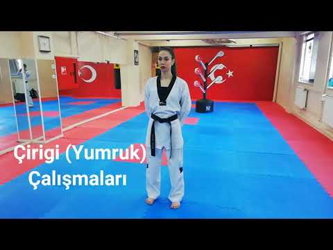 Basic Techniques Taekwondo (Beyaz Kuşak Temel Teknik Çalışmaları) #taekwondo #tkd #poomsae