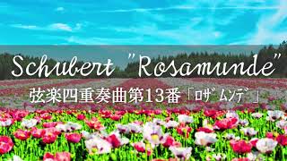 【名曲クラシック】シューベルト 弦楽四重奏曲第13番 ｢ﾛｻﾞﾑﾝﾃﾞ｣ Schubert:Streichquartett No.13 Rosamunde【癒しのBGM】