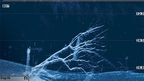 Down Imaging Explained | Humminbird