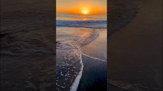  Cross Waves At The Beach stay rihanna shorts