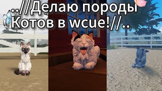 |~|делаю породы котов во wcue!|~|