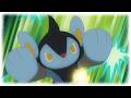 Ich RANKE ALLE POKEMON aus ALLEN GENERATIONEN #023