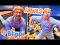 Blippi&#39;s Animal Pretend at Skyzone Indoor Trampoline Park! Educational Videos for Kids