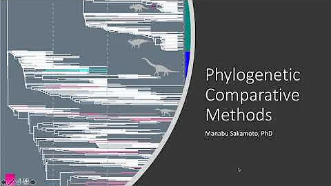 Phylogenetic comparative methods