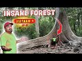 Unplanned stop in this scary forest  cat tien national park  ep10