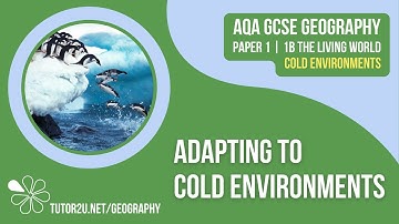 Adapting to Cold Environments | AQA GCSE Geography | Cold Environments 2