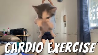 💪3rd Fitness Routine Video: PED 030 (BSRTE1-A3)  [CARDIO]