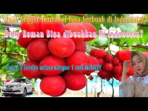 Video: Camilan Mewah: Acar Anggur