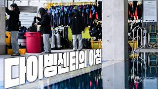 다이빙을 시작하는 센터의 아침