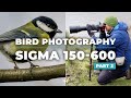 Bird Photography with Sigma 150-600mm and Nikon Z7