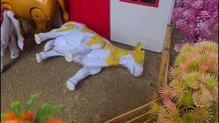 WADIDAU‼️PROSES‼️POTONG SAPI‼️KURBAN‼️Sapi Moo Video‼️