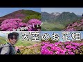 ［圧巻の登山！］こんな場所が日本にあるんだ､､！大満開のミヤマキリシマを見に、癒しを求めてソロ登山。［ジムニーで車中泊］