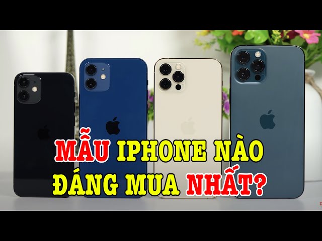 Điện thoại iPhone 12 nào đáng mua nhất trong 4 mẫu năm nay?