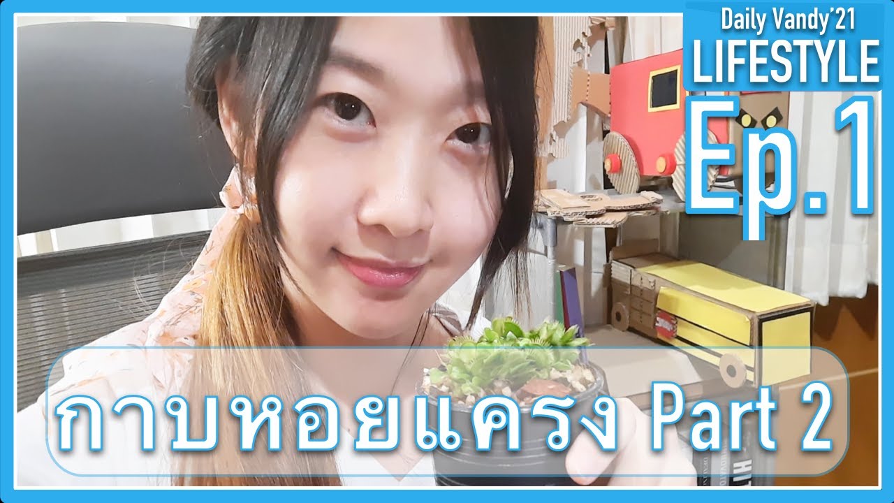 [Lifestyle'21 Ep.1] ซื้อต้นไม้มาปลูก กาบหอยแครงพืชกินแมลง/Venus Flytrap Part2