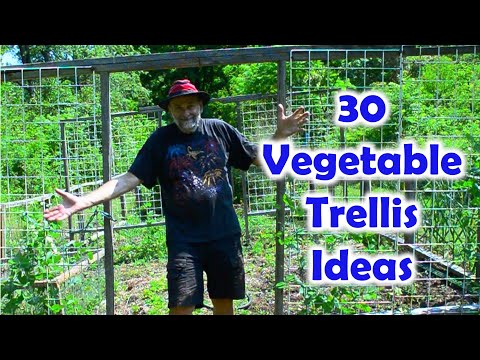 30 Unique Vegetable Trellis Ideas - Produce More Food