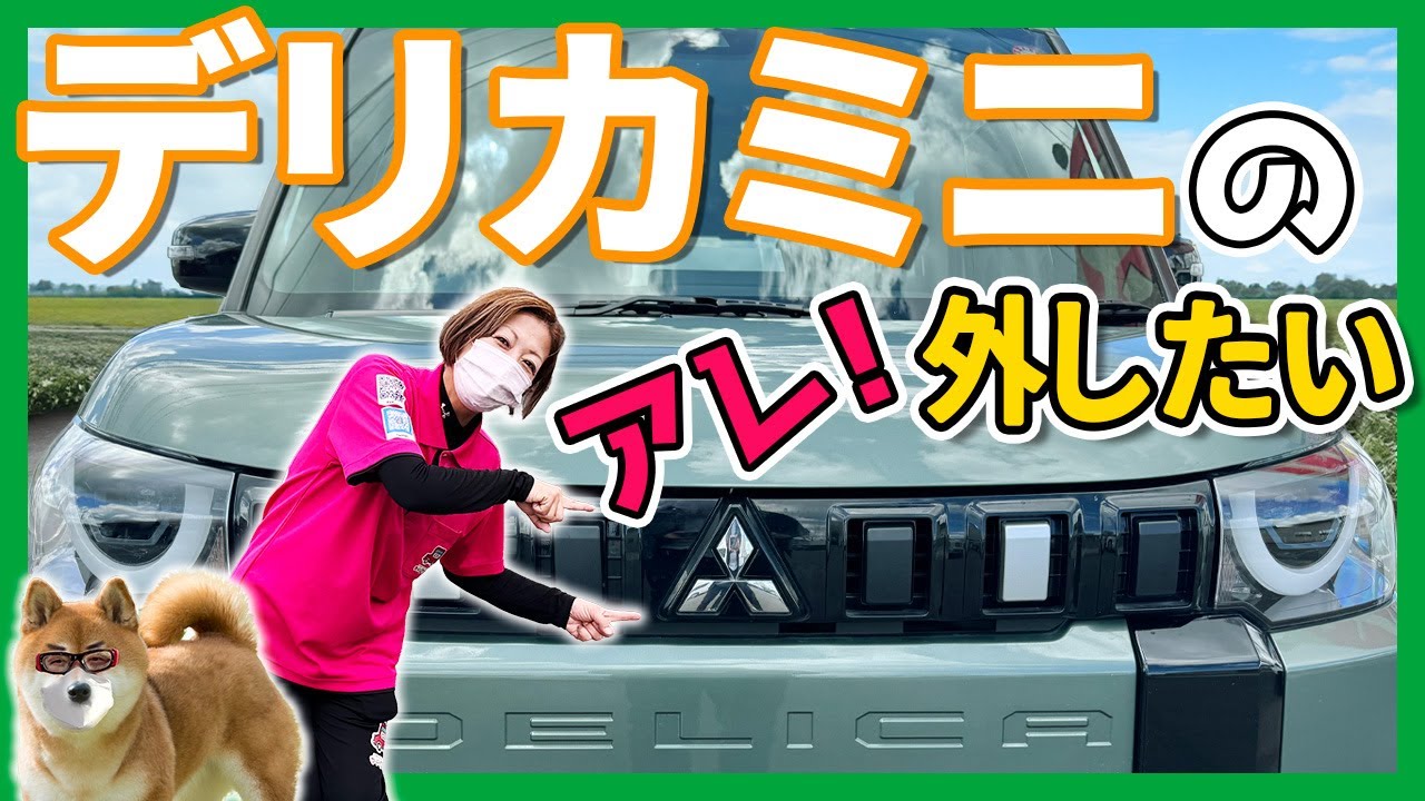 A thorough explanation of removing the Mitsubishi logo from a