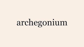 archegonium