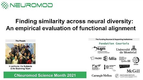 Finding similarity across neural diversity: An empirical evaluation of functional alignment