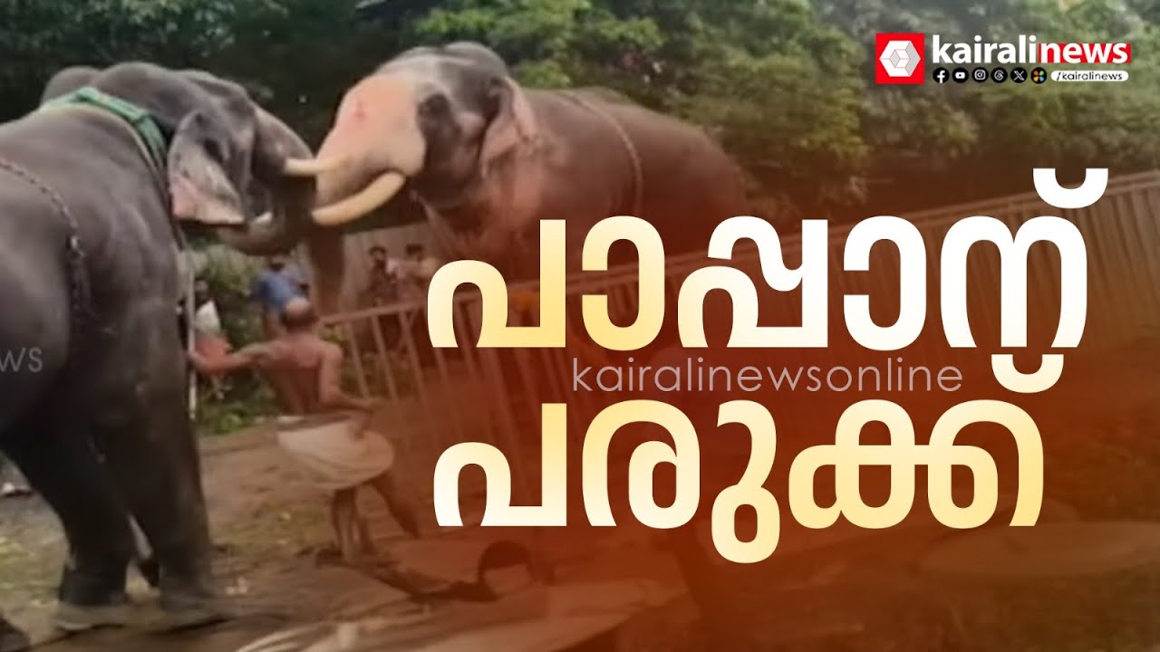 ഇരിങ്ങാലക്കുട കൂടൽമാണിക്യം ക്ഷേത്രത്തിൽ ആന ഇടഞ്ഞു: പാപ്പാന് താഴെ വീണ് തോളിനു പരിക്ക്