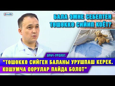 Video: Бала төшөккө даярбы?