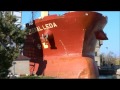 Ship FEDERAL LEDA on Welland Canal