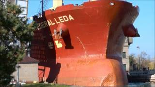 Ship FEDERAL LEDA on Welland Canal