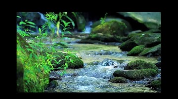 سورة الناس مكرره القارئ - هزاع البلوشي
