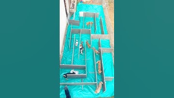 Difficulty: 🍀🍀🍀🍀🍀，Dogs in a maze  #puppy #cute #pets #funny #dog