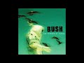 Bush  best tracks