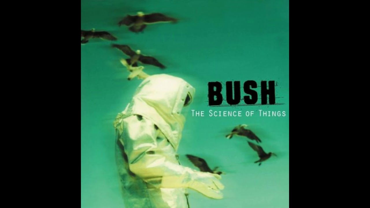 Bush - Best Tracks