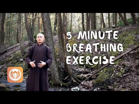 Qigong para principiantes. Plum Village