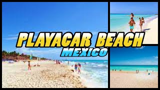 PLAYACAR BEACH - Playa Del Carmen - Mexico (4K)