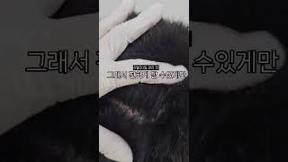 이제 지쳤다 생각할때 시작해보세요..#대전두피관리 #대전j예쁨채움 #대전탈모 #트러블 #탈모 #탈모케어 #두피 #두피건강 #구독부탁합니다 #구독과좋아요