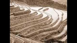 ARAK IRIANG ERIWAY INSTRUMENTAL