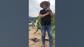 Sông đà đón chào cần thủ câu Lancer mới tinh #shorts