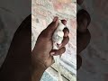 আজকে# আমার সাথে# এ কি #ঘটনা# ঘটলো#😱🪺😭😭