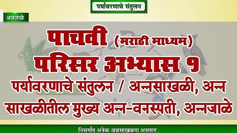 5th EVS 1 | Chapter#04 | Topic#02 | अन्नसाखळी, अन्न साखळीतील मुख्य अन्न | Marathi Medium