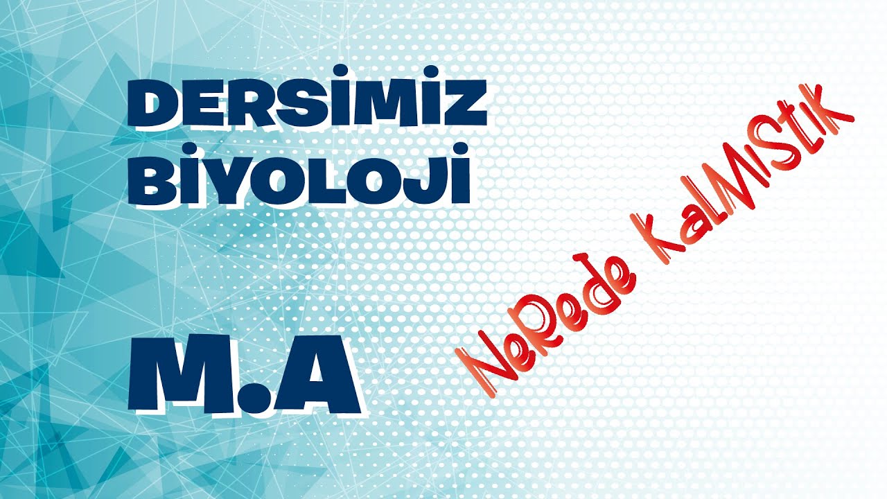 M A Biyoloji nsanda reme Sistemi YouTube