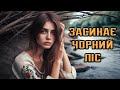 ГОРДІЙ ЗАСИНАЄ ЧОРНИЙ ЛІС ПОВСТАНСЬКА ПІСНЯ ГОРДІЙ ЗАСИНАЄ ЧОРНИЙ ЛІС ПОВСТАНСЬКА ПІСНЯ
