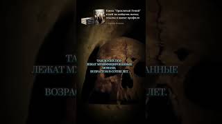 Под церквями #религия #история