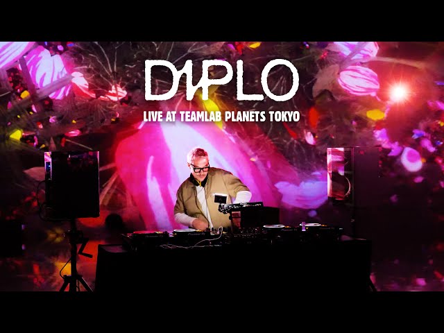 Diplo - Live at teamLab Planets Tokyo class=