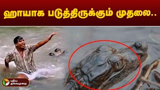 ஆற்றுப் பகுதிகளில் குளிக்க வேண்டாம் என கேரள வனத்துறை எச்சரிக்கை | KERALA | PTT