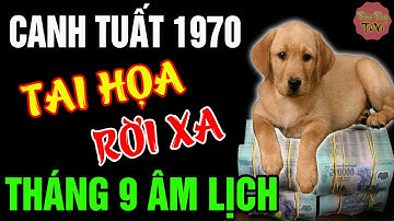 Tử Vi Tháng 9 Âm Lịch, CANH TUẤT 1970 Tai Họa Rời Xa, Phúc Tự Tới Nếu Biết Điều Này