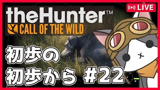 【thehunter:COTW】#22 デイリィのんびり('ω')【Vtuber】
