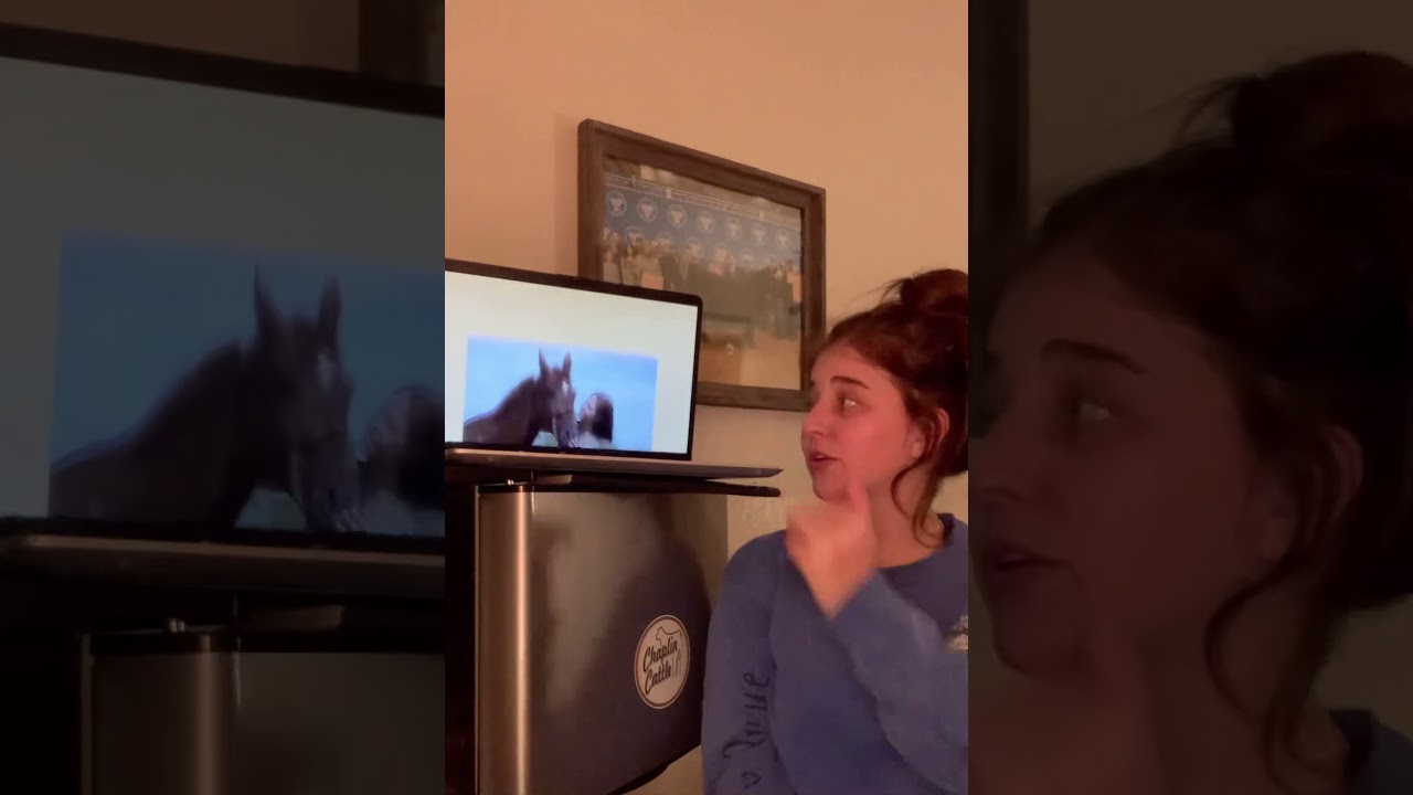 Sarah Armitage Persuasive Speech